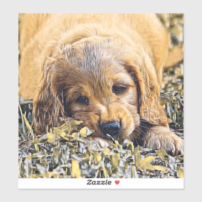 AnimalMix_Dog_005 (Sheet)