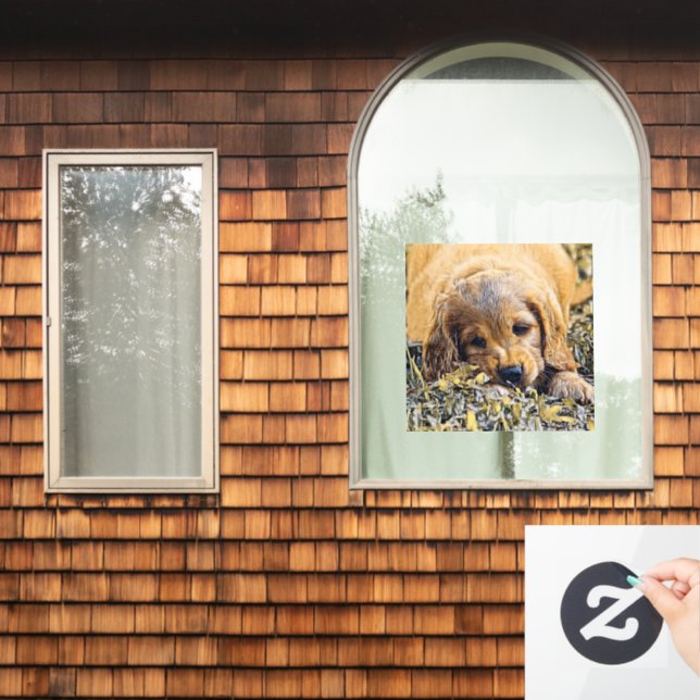 AnimalMix_Dog_005 (Home Window)