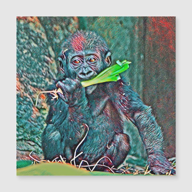 AnimalMix_Gorilla_005 (Front)