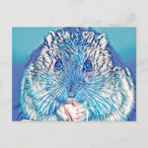 AnimalMix_Hamster_003 Postcard