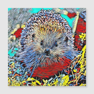 AnimalMix_Hedgehog_002
