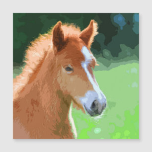 AnimalMix_Horse_013