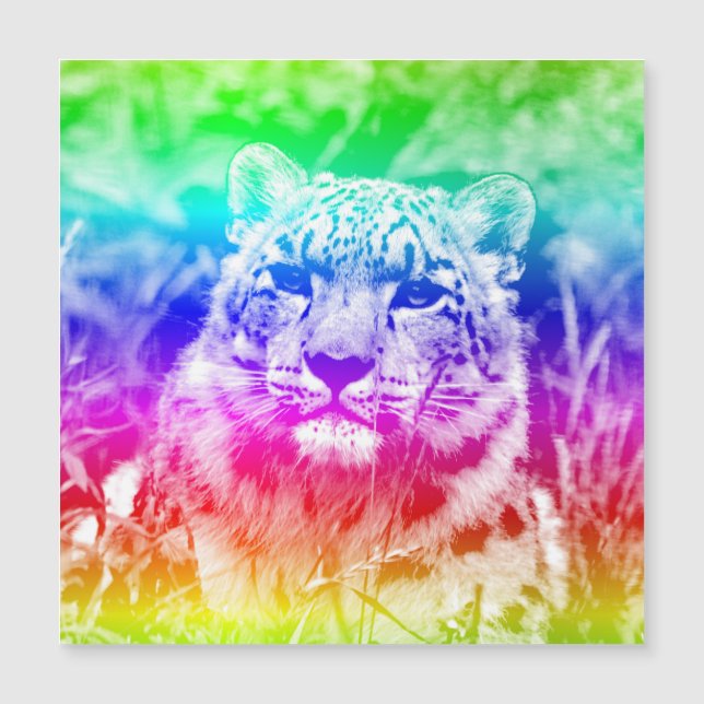 AnimalMix_Leopard_011 (Front)