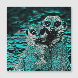 AnimalMix_Meerkat_001