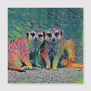 AnimalMix_Meerkat_010