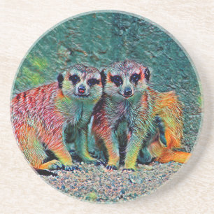 AnimalMix_Meerkat_010 Coaster