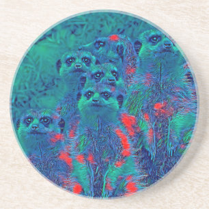 AnimalMix_Meerkat_015 Coaster