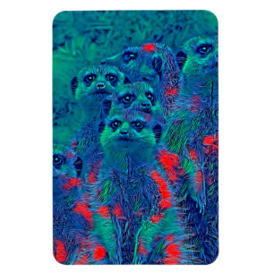 AnimalMix_Meerkat_015 Magnet