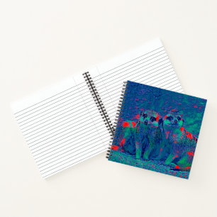 AnimalMix_Meerkat_022 Notebook