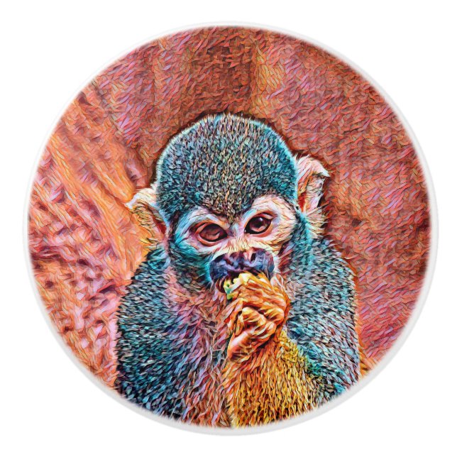 AnimalMix_Monkey_001 Ceramic Knob (Front)