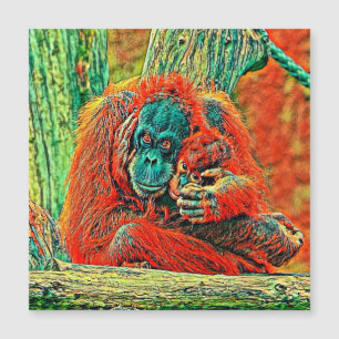 AnimalMix_OrangUtan_008