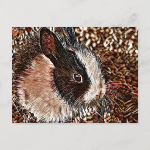 AnimalMix_Rabbit_005 Postcard
