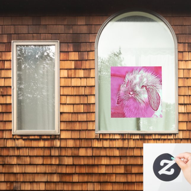 AnimalMix_Rabbit_008 (Home Window)