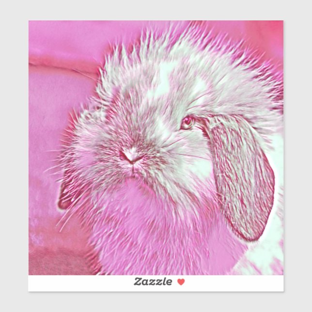 AnimalMix_Rabbit_008 (Sheet)