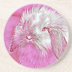 AnimalMix_Rabbit_008 Coaster