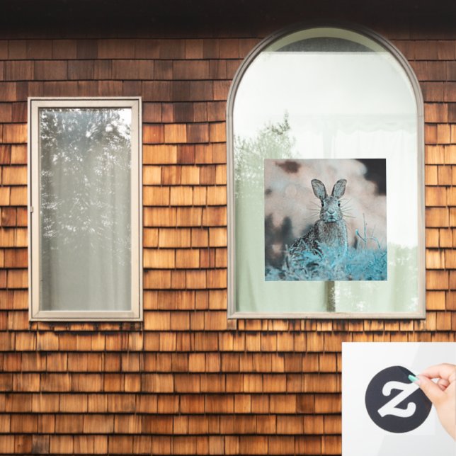 AnimalMix_Rabbit_024 (Home Window)