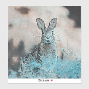 AnimalMix_Rabbit_024