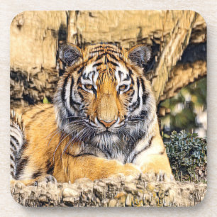 AnimalMix_Tiger_009 Coaster