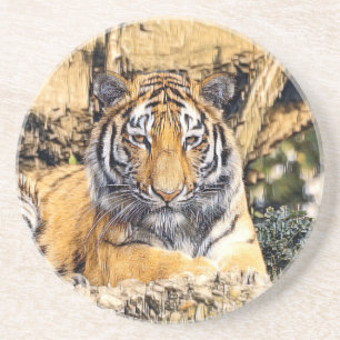 AnimalMix_Tiger_009 Coaster