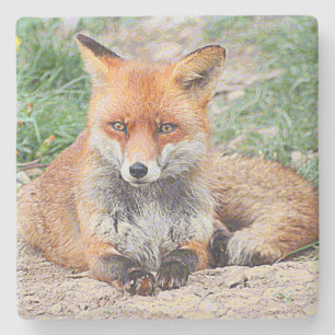 AnimalPaint_Fox_20171201_by_JAMColors Stone Coaster
