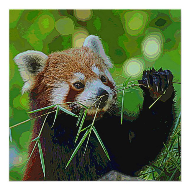 AnimalPaint_RedPanda_20171201_by_JAMColors Poster (Front)