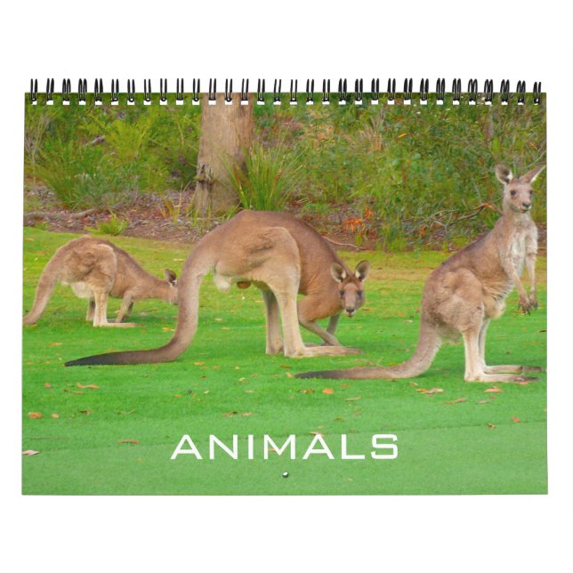 animals 2026 calendar (Cover)
