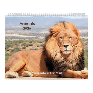 Animals 2026 calendar