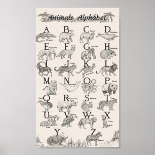 Animals alphabet educational poster