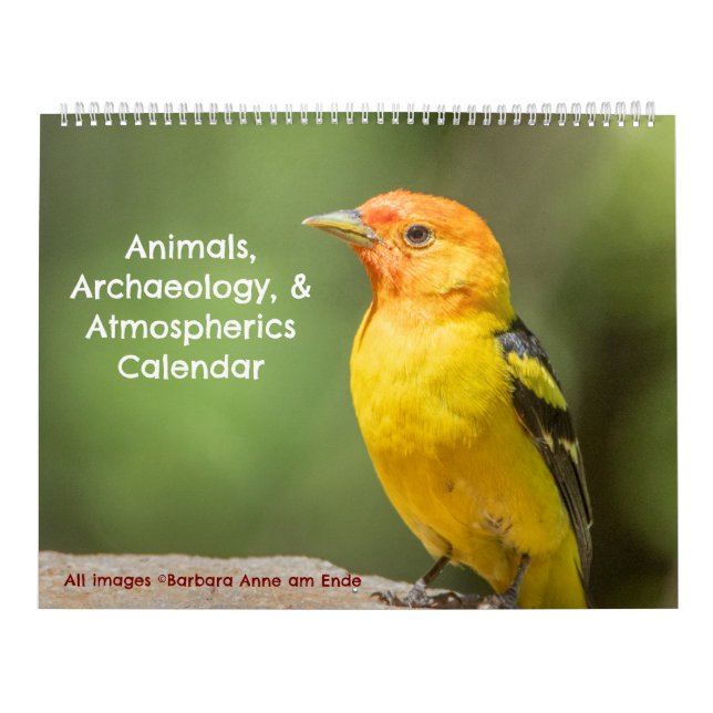Animals, Archaeology, and Atmospherics Calendar (Cover)