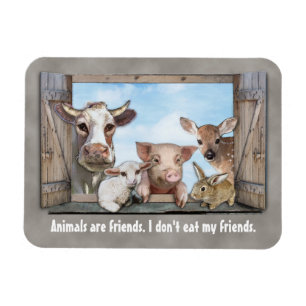 Animals are Friends. Magnet