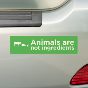 animals are not ingredients green vegan bumper sticker