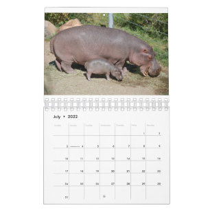 Animals around the world 5.5" x 7" 2021 calendar