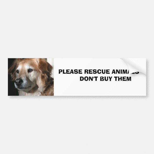 Animals       ... bumper sticker (Front)