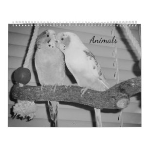 Animals Calendar