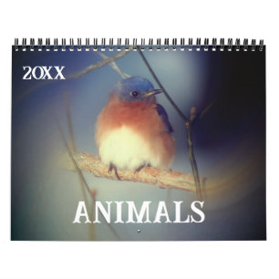 Animals Calendar