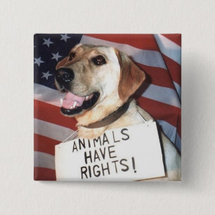 Animals Have Rights 15 Cm Square Badge