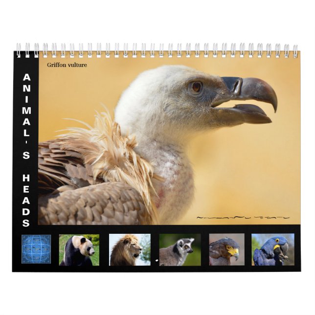 Animal's heads 12 month calendar (Cover)