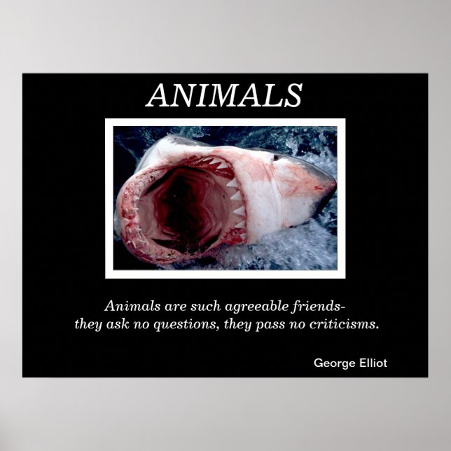Animals: Jaws of the Deep Poster (Front)