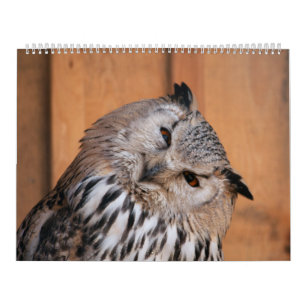 Animals Looking At You Calendar