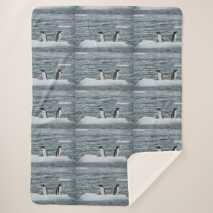 Animals Marine Animal Dive Cosy Destiny Destiny's Sherpa Blanket