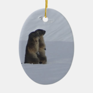 animals marmots savage ceramic tree decoration