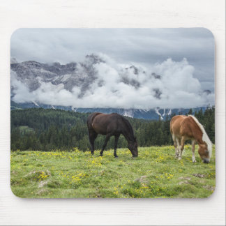 Animals Mouse Pad