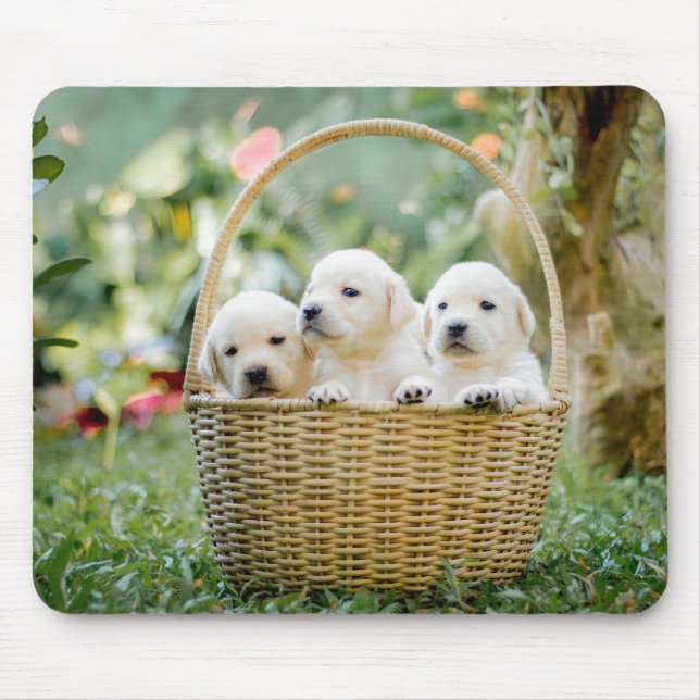 animals, nature, puppy mouse pad (Front)