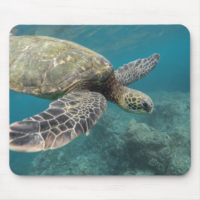 animals, nature, turtle mouse pad (Front)