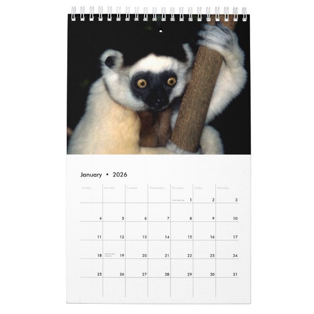 ANIMALS of Africa Calendar 2015 1-Pg. (Jan 2026)