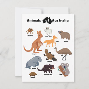 Animals of Australia Aussie Wildlife