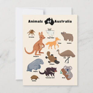 Animals of Australia Aussie Wildlife