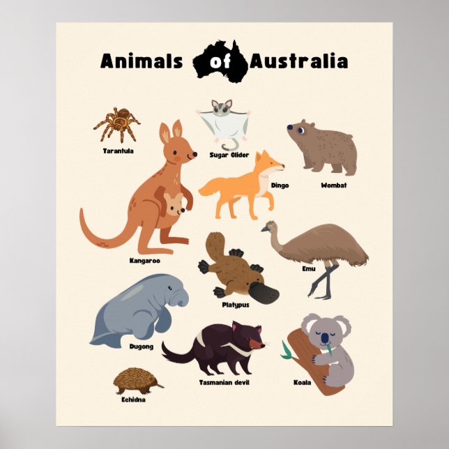 Animals of Australia Aussie Wildlife Poster (Front)