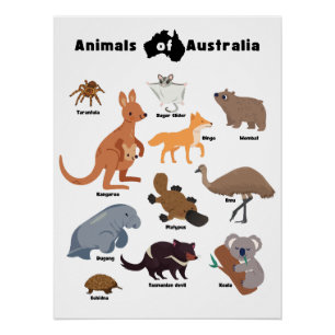 Animals of Australia Aussie Wildlife Poster