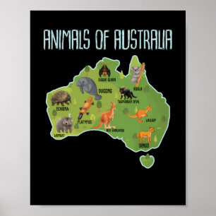 Animals Of Australia Australian Animal Educational Poster